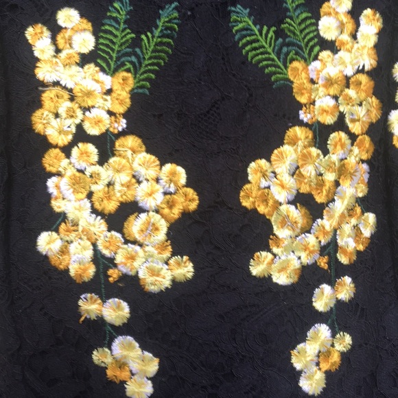 Lace Embroidered Top with Esprit de Corp Skirt - Picture 5 of 8